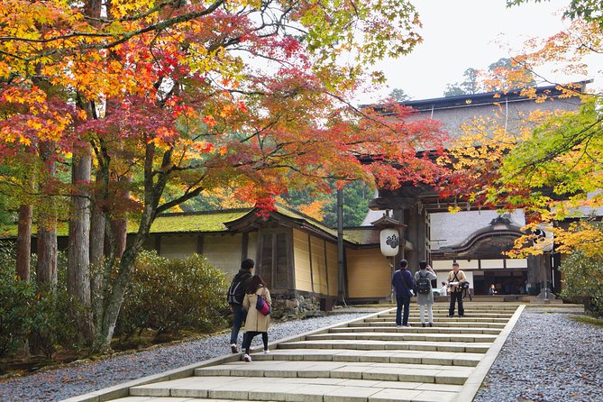 Koyasan Full-Day Private Tour - Kongobuji’s painted doors and rock garden