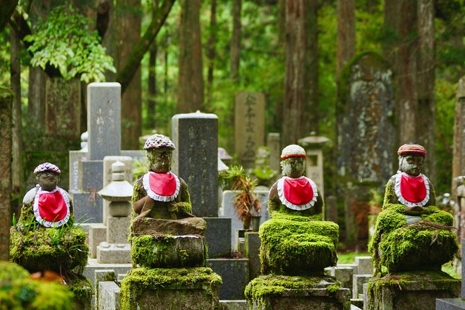 Koyasan Full-Day Private Tour - What the private format adds