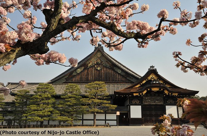 Kyoto 1 Day Tour from Osaka - Fushimi Inari: red gates and a walk from the coach