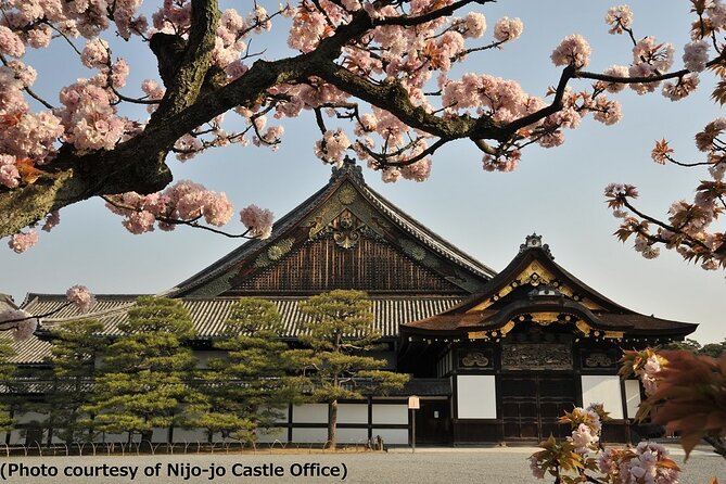 Kyoto and Nara Day Trip from Osaka - Nijo Castle: the shogun’s Kyoto base