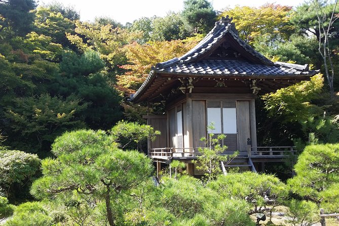 Kyoto Highlights: Arashiyama & Fushimi Inari by Private Car - The bamboo grove: iconic, brief and best approached with realistic expectations