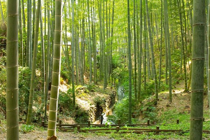 Kyoto Highlights: Arashiyama & Fushimi Inari by Private Car - What eight hours can and cannot cover