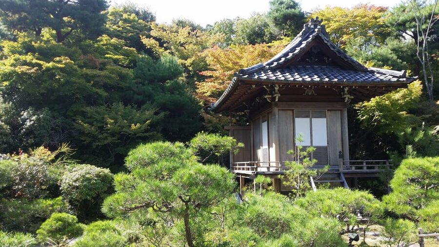 Kyoto: Immersive Arashiyama & Fushimi Inari by Private Car - At a glance