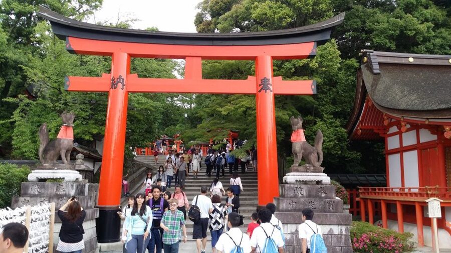 Kyoto: Immersive Arashiyama & Fushimi Inari by Private Car - The bamboo grove is brief but memorable
