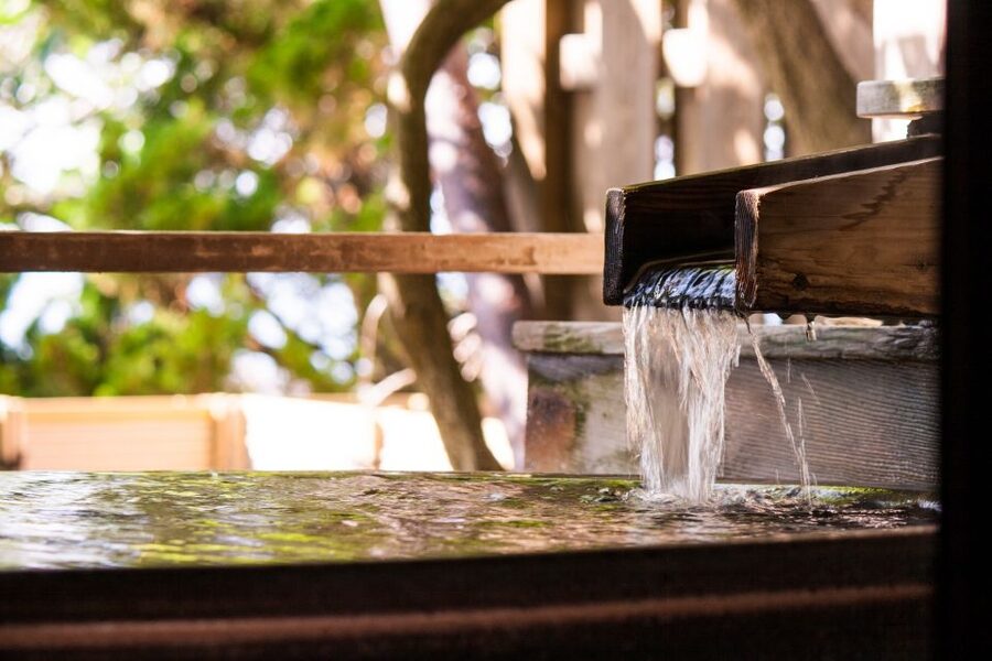Kyoto: Immersive Arashiyama & Fushimi Inari by Private Car - Gion gives you a short look at traditional streets