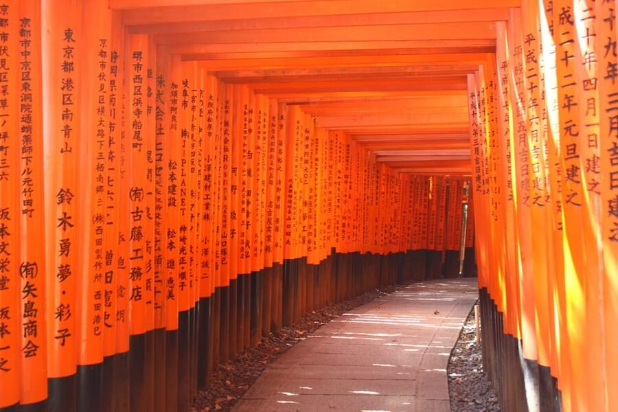 Kyoto: Immersive Arashiyama & Fushimi Inari by Private Car - The guide can make the day your own