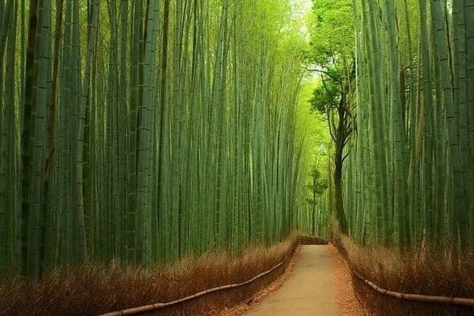 Kyoto & Nara Private customized tour with English speaking Guide - Nara Park and Tōdai-ji: deer, then the Great Buddha