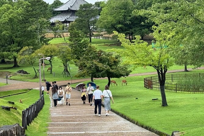 Kyoto & Nara Private customized tour with English speaking Guide - Arashiyama: bamboo, shops, and a crowd check