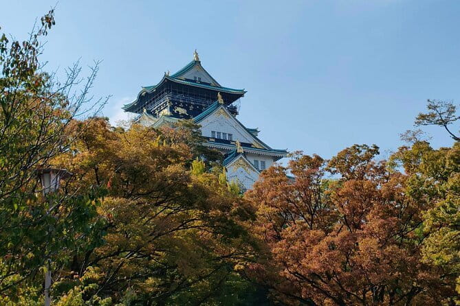 Kyoto & Nara Private Day Tour - Todai-ji and the Great Buddha