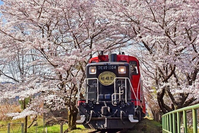 Kyoto & Nara & Uji: Full Day Sightseeing Tour from Osaka or Kyoto - Uji Park and the river: a change of pace
