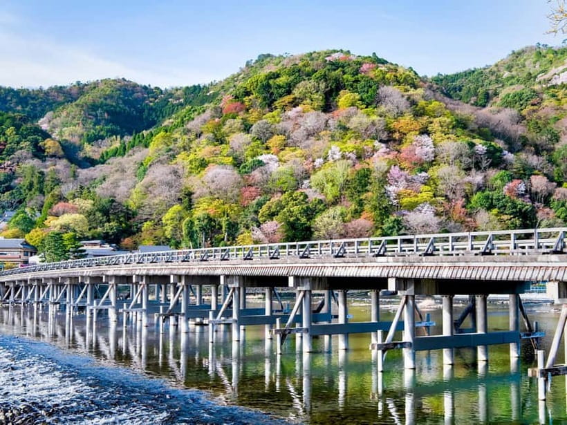 Kyoto/Osaka: Kinkakuji, Bamboo Forest, and Nara Deer Park - Nara Park, deer, and the Great Buddha