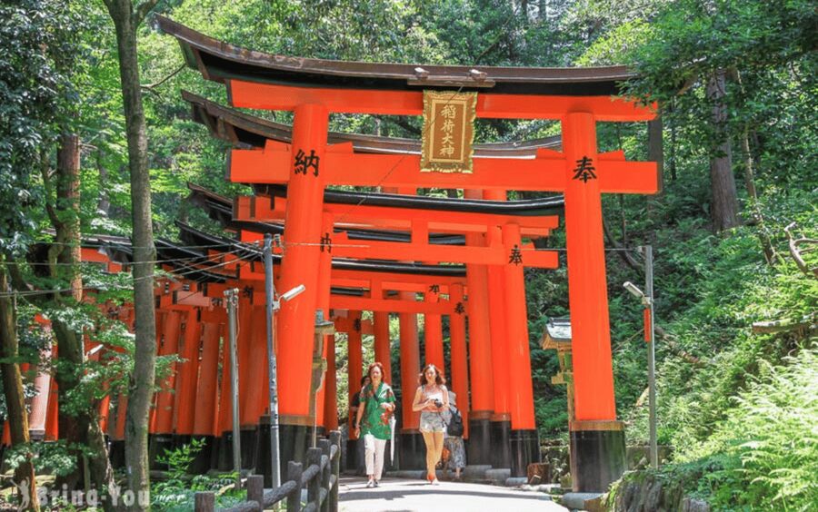 Kyoto/Osaka: Kyoto and Nara Customizable Guided Day Trip - A private day for two very different cities