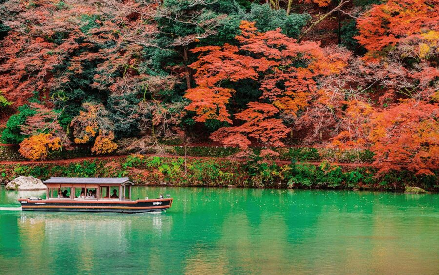 Kyoto/Osaka: Kyoto and Nara Customizable Guided Day Trip - Fushimi Inari and Arashiyama: Kyoto’s best-known sights
