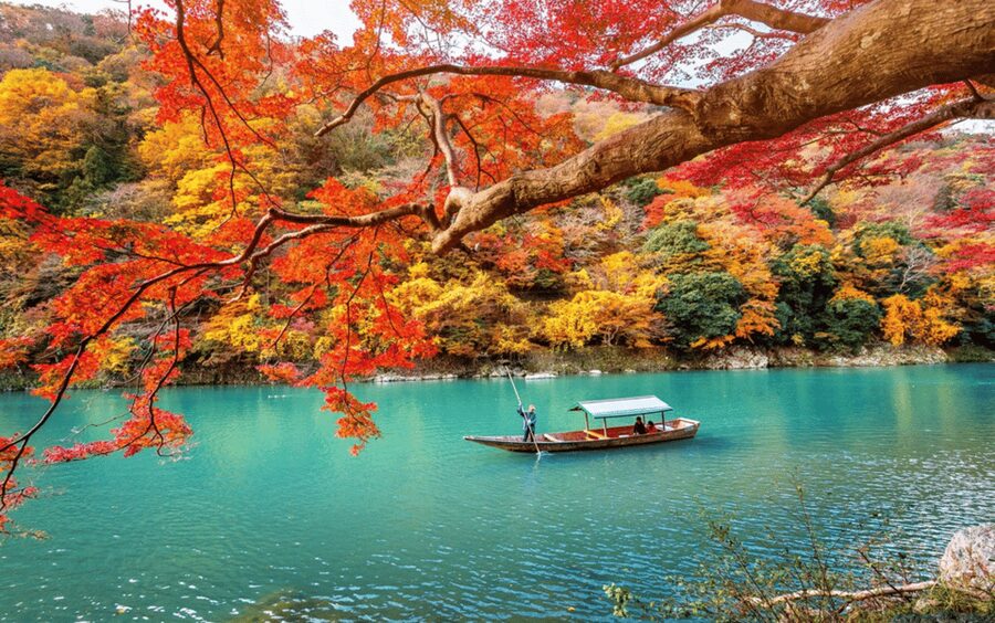 Kyoto/Osaka: Kyoto and Nara Customizable Guided Day Trip - Choose a Kyoto-only or Nara-only route