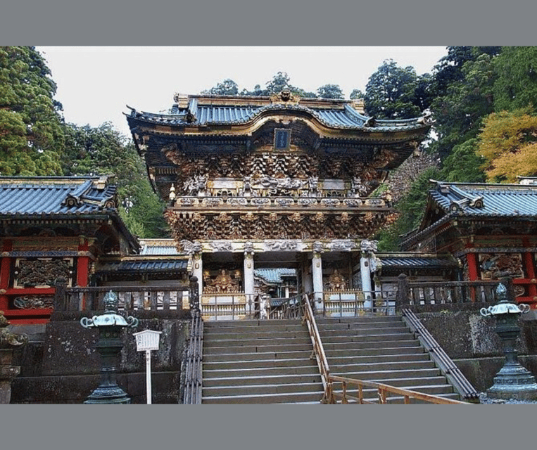 Kyoto/Osaka: Kyoto and Nara Customizable Guided Day Trip - Is $613 good value for your group?