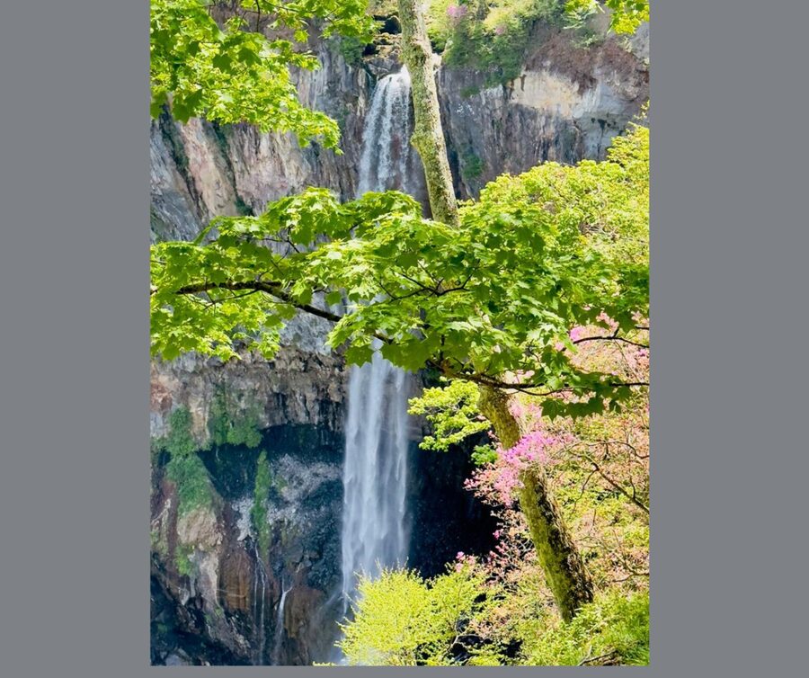 Kyoto/Osaka: Kyoto and Nara Customizable Guided Day Trip - Who should book this tour?