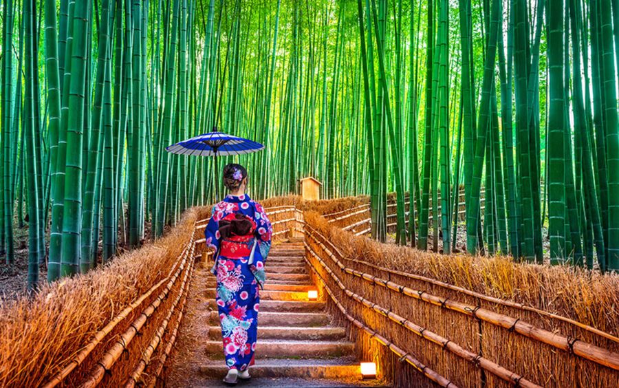 Kyoto/Osaka: Kyoto and Nara Customizable Guided Day Trip - Nara Park, Tōdai-ji, and Kasuga-taisha