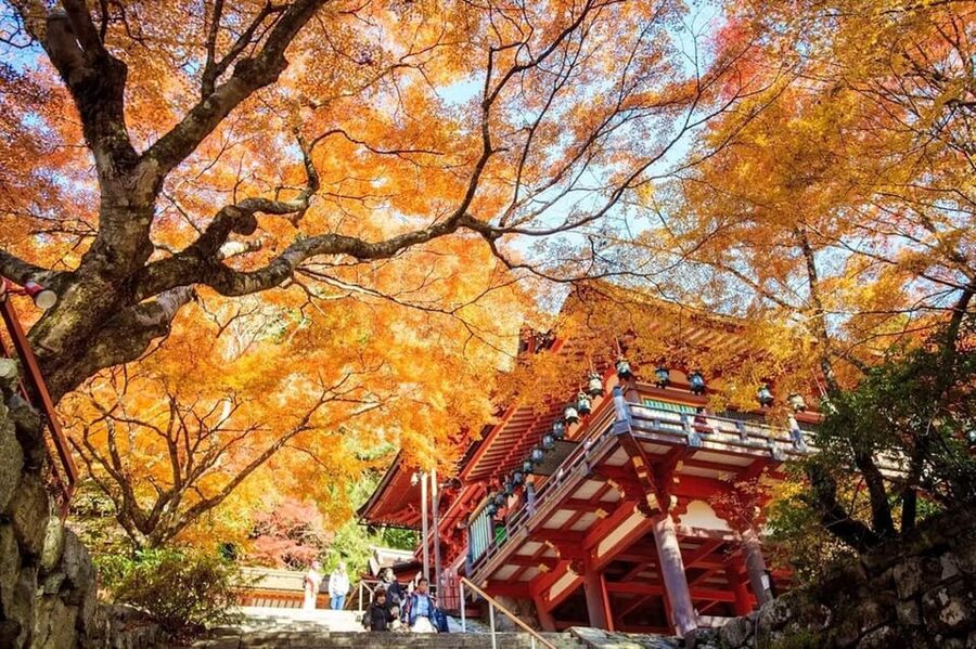 Kyoto/Osaka: Nara Customizable Self-Guided Tour with Driver - Mount Wakakusa: a change of pace