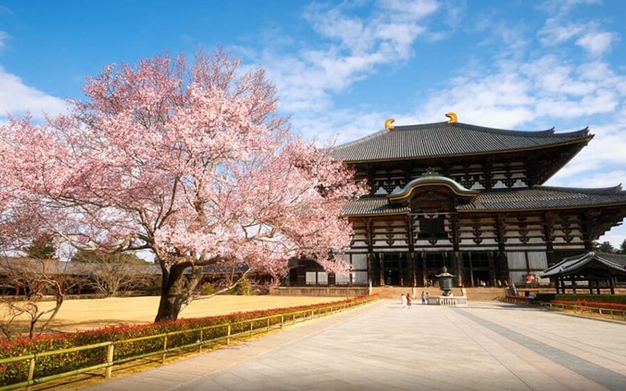 Kyoto/Osaka: Nara Customizable Self-Guided Tour with Driver - What ten hours can fit