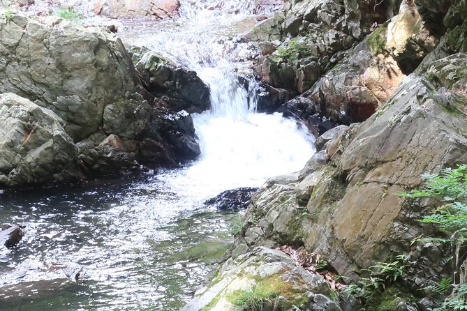 Minoh Waterfall and nature walk through the Minoh Park - Reaching the 33-meter waterfall