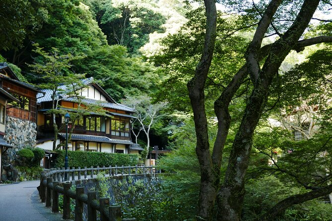 Minoh Waterfall and nature walk through the Minoh Park - Lunch and the value of a private guide