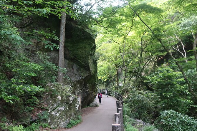 Minoh Waterfall and nature walk through the Minoh Park - FAQ