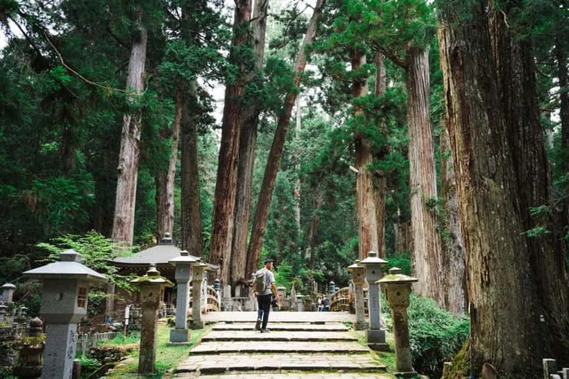 Mount Koya from Osaka: Cultural Small Group Day Tour - Shojin Ryori: lunch as part of the lesson