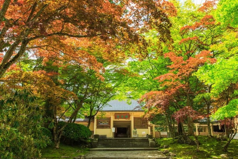Mount Koya from Osaka: Cultural Small Group Day Tour - Kongobuji Temple and Banryutei’s stone garden