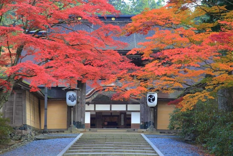 Mount Koya from Osaka: Cultural Small Group Day Tour - Okunoin: a quiet walk among cedar trees and tombstones