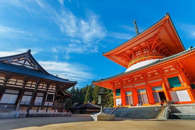 Mt. Koya Sacred 4hr Private Tour with Government Licensed Guide - Tokugawa’s Mausoleum: a shogun family memorial