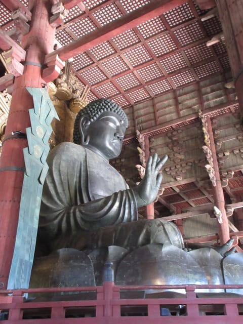 NARA: Budda gigante, Cervi liberi nel parco (Guida italiana) - From Kyoto Station to Nara
