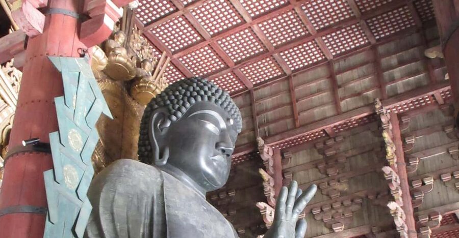 NARA: Budda gigante, Cervi liberi nel parco (Guida italiana) - Finding the meeting point at Kyoto Station