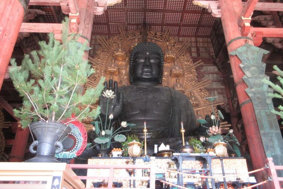 NARA: Budda gigante, Cervi liberi nel parco (Guida italiana) - Who will get the most from this outing