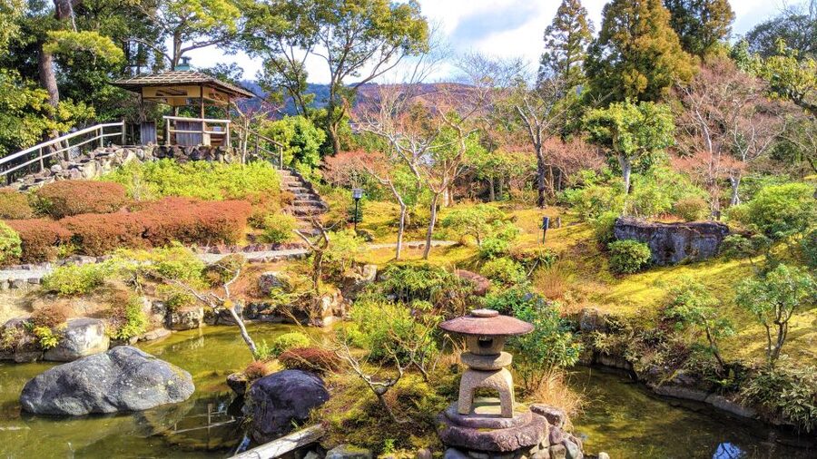 Nara: City Highlights Shared Group or Private Bike Tour - Nara Park’s Deer and Green Paths