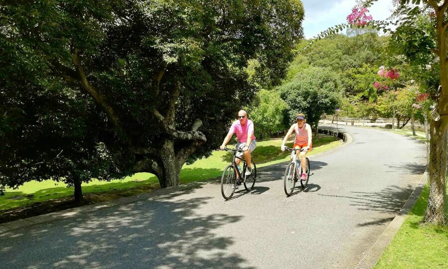 Nara: City Highlights Shared Group or Private Bike Tour - A Craft Stop at Kikuichi