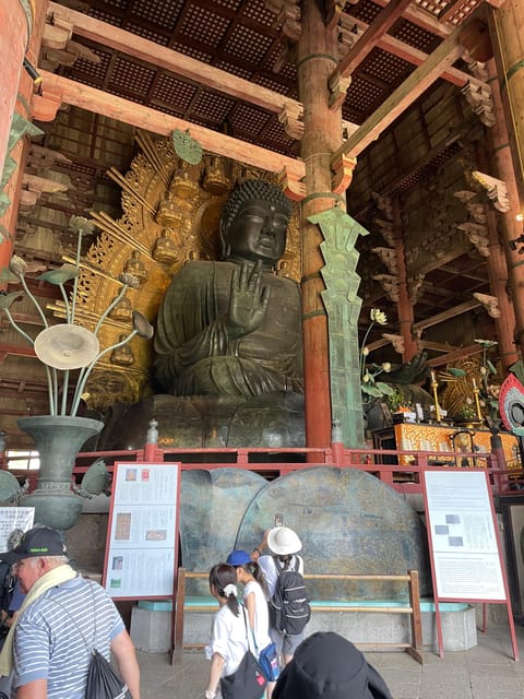Nara City Tour | Explore Temples, Park & Local Highlights - Meeting Nara’s Deer in the Park