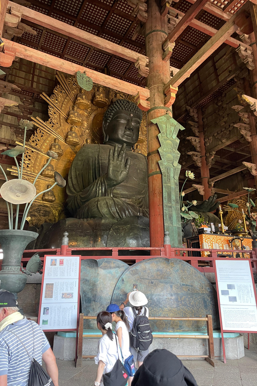 Nara City Tour | Explore Temples, Park & Local Highlights - FAQ