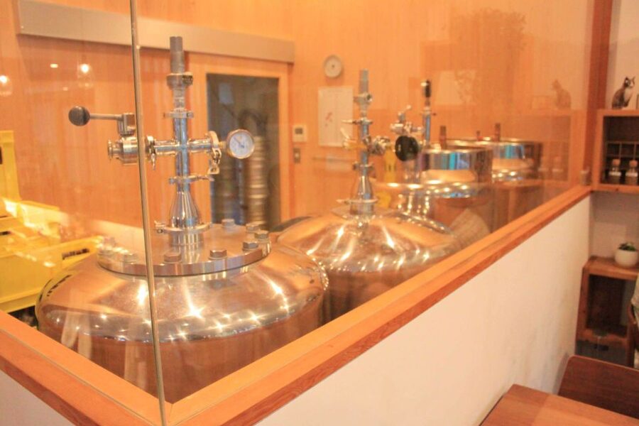 Nara - Craft Beer, Sake, and Food Walking Tour - Dinner Brings the Tasting Stops Together