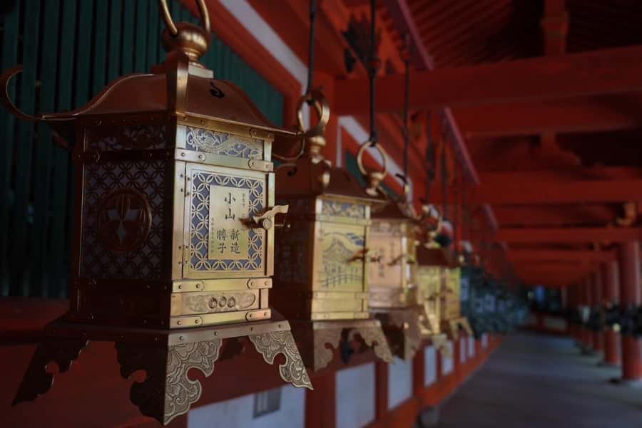 Nara Early Bird Tour (Kyoto Departure Option Available) - Why Nara rewards an early start