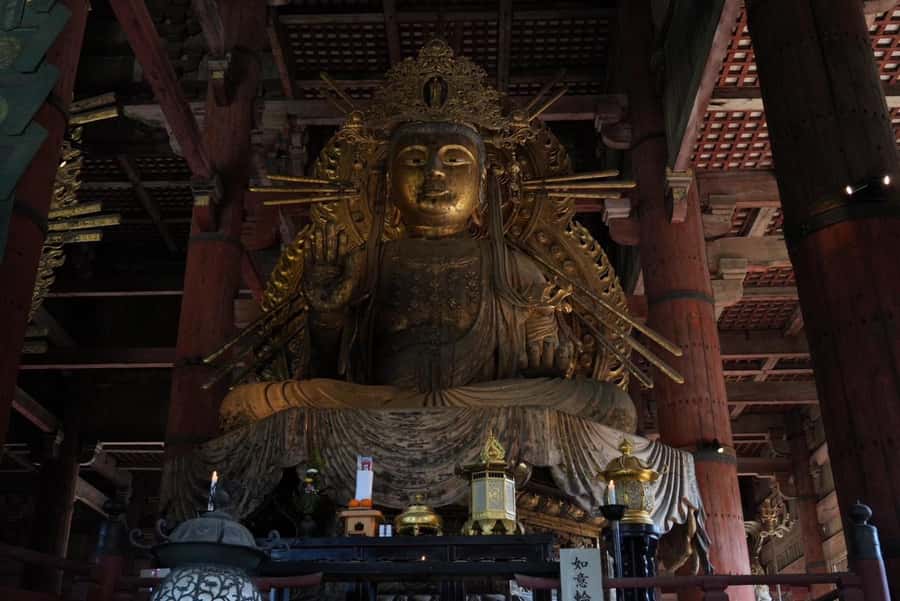 Nara Early Bird Tour (Kyoto Departure Option Available) - Todaiji Temple and the 800-yen admission