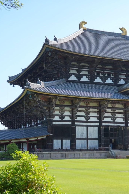 Nara Early Bird Tour (Kyoto Departure Option Available) - Kasuga Grand Shrine and the walk through the grounds