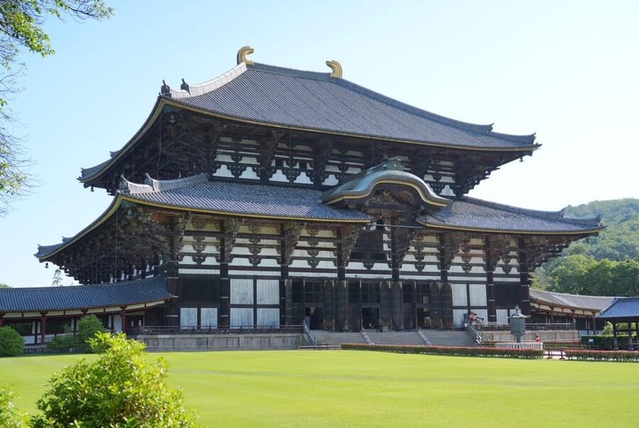 Nara Early Bird Tour (Kyoto Departure Option Available) - Guides, group size, and the feel of the tour