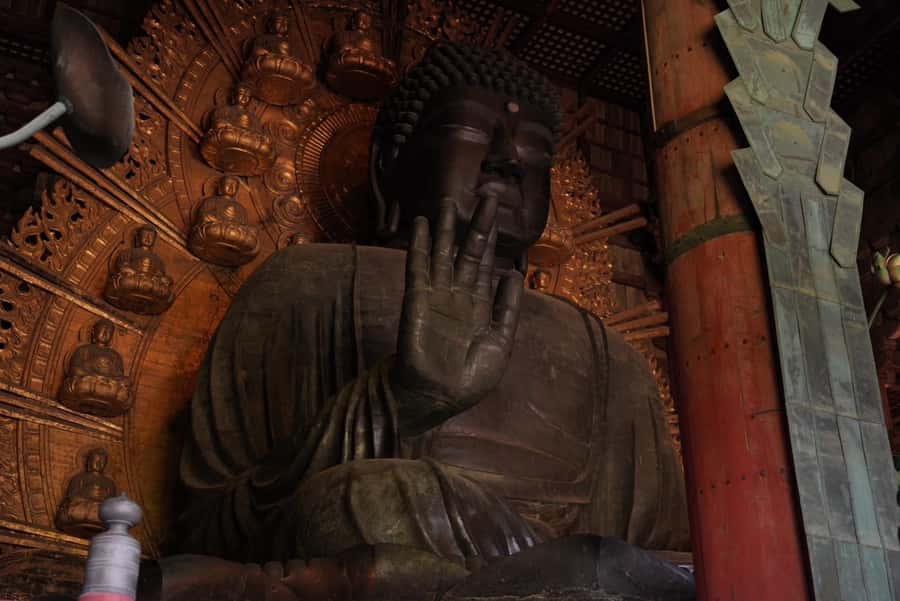 Nara Early Bird Tour (Kyoto Departure Option Available) - Who should book this early walk?