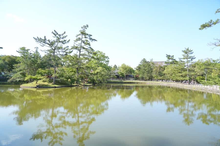 Nara Early Bird Tour (Kyoto Departure Option Available) - From Kyoto Station to Nara