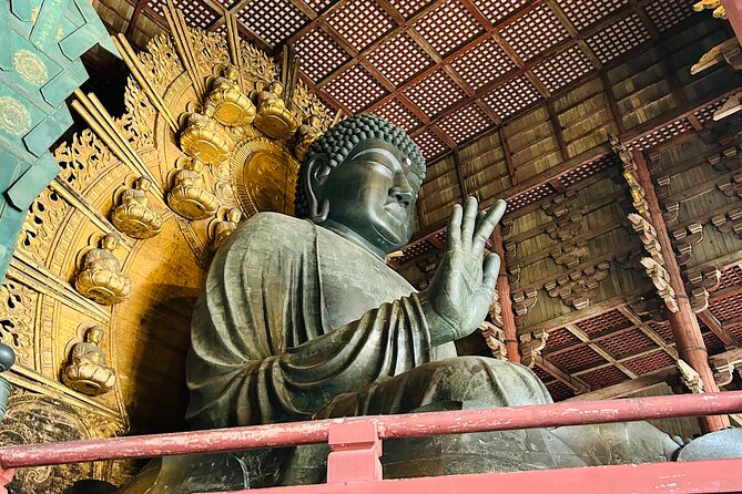 Nara Early Morning Tour (Kyoto or Osaka Departure Available) - Who should book this Nara walk?