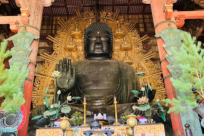 Nara: Essential Private Tour with Deer Park and Temples - From Kintetsu Nara Station into the old capital