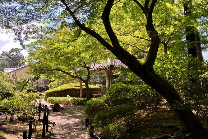 Nara: Essential Private Tour with Deer Park and Temples - Nara Park pairs open space with deer