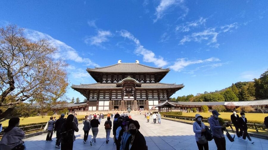 Nara: Great Buddha, Kasuga Shrine & Deer Park Tour - Why this route suits a first visit to Nara