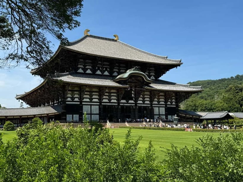 Nara: Great Buddha, Kasuga Shrine & Deer Park Tour - Is $77 a good value?