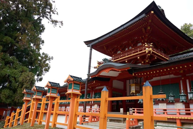 Nara: Great Buddha, Kasuga Shrine & Deer Park Tour - FAQ
